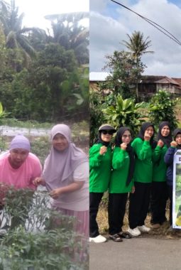 Bukit Asam Kembangkan EcoGrow Mom, Perkuat Pemberdayaan Perempuan hingga Ketahanan Pangan Desa
