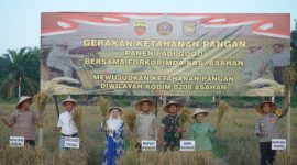 Komando Distrik Militer [Kodim] 0208/Asahan menggelar kegiatan Panen Raya Ketahanan Pangan Tanam Padi Gogo dalam rangka mendukung program swasembada pangan nasional, Kamis 12 Maret 2026.