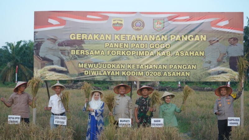 Komando Distrik Militer [Kodim] 0208/Asahan menggelar kegiatan Panen Raya Ketahanan Pangan Tanam Padi Gogo dalam rangka mendukung program swasembada pangan nasional, Kamis 12 Maret 2026.
