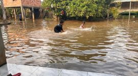 Banjir merendam permukiman warga pada pagi Hari Raya [Lebaran] setelah aliran sungai di kelurahan Seterio kecamatan Banyuasin III kabupaten Banyuasin tersumbat oleh tumpukan tumbuhan liar.