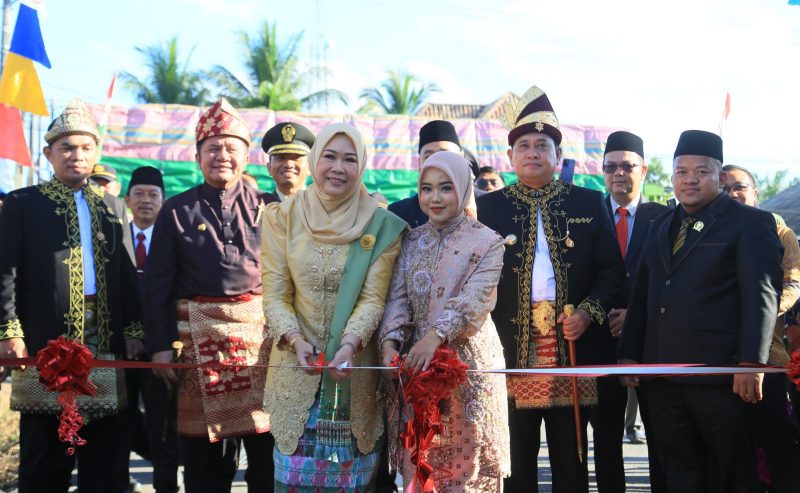 Gubernur Sumatera Selatan, Dr H Herman Deru, meresmikan bantuan pembangunan infrastruktur berupa perbaikan jalan di Kabupaten Banyuasin untuk tahun 2025.