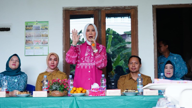 Ketua TP-PKK Provinsi Sumatera Selatan sekaligus Ketua Tim Pembina Posyandu Sumsel, Feby Deru, memberikan imbauan bagi para ibu untuk rutin membawa balita ke Posyandu.
