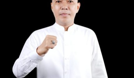 Ketua Dewan Pengurus Wilayah [DPW] PKB Sumsel H Nasrul Halim