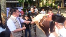 Gubernur Sumatera Selatan [Sumsel], Dr H Herman Deru meninjau persiapan lokasi pemotongan hewan kurban dan pelaksanaan Salat Iduladha 1447 Hijriah di Kota Palembang, sekaligus menyerahkan sapi kurban bantuan Presiden Republik Indonesia di Masjid Taqwa Palembang.