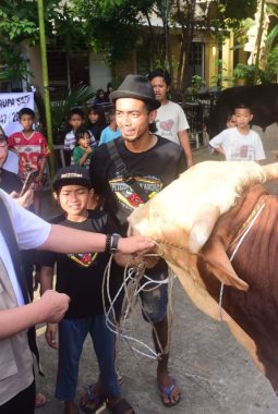 Herman Deru Pastikan 18 Sapi Kurban dari Presiden Prabowo Tepat Sasaran