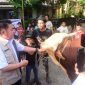 Gubernur Sumatera Selatan [Sumsel], Dr H Herman Deru meninjau persiapan lokasi pemotongan hewan kurban dan pelaksanaan Salat Iduladha 1447 Hijriah di Kota Palembang, sekaligus menyerahkan sapi kurban bantuan Presiden Republik Indonesia di Masjid Taqwa Palembang.