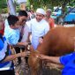 Gubernur Sumatera Selatan, Dr H Herman Deru, memanfaatkan momentum Hari Raya Idul Adha 1447 Hijriah untuk berbagi kurban bersama masyarakat sekaligus memperkuat kebersamaan keluarga.