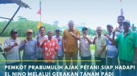 Wakil Wali Kota [Wawako] Prabumulih, Franky Nasril, menghadiri pencanangan Gerakan Tanam Padi Secara Daring Menyongsong El Nino [iklim] 2026, dilaksanakan di Kelurahan Payu Putat, Kecamatan Prabumulih Barat, Selasa 19 Mei 2026.