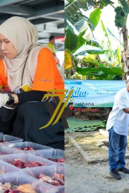 PLN UID S2JB Tebar Kepedulian Lewat Qurban untuk Masyarakat Sekitar