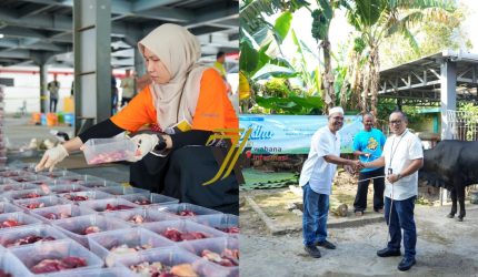 PLN UID S2JB Tebar Kepedulian Lewat Qurban untuk Masyarakat Sekitar
