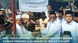 Wali Kota H Arlan Serahkan Sapi Kurban ke Masjid Babun Ni'mah