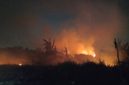 Tempat Sampah Terbakar! Kobaran Api Merambat ke Area Rawa Macan Lindungan