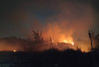 Tempat Sampah Terbakar! Kobaran Api Merambat ke Area Rawa Macan Lindungan