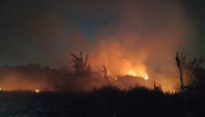Tempat Sampah Terbakar! Kobaran Api Merambat ke Area Rawa Macan Lindungan