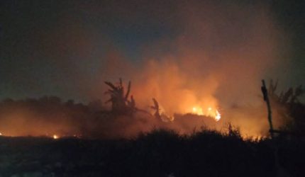 Tempat Sampah Terbakar! Kobaran Api Merambat ke Area Rawa Macan Lindungan
