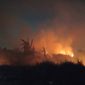 Tempat Sampah Terbakar! Kobaran Api Merambat ke Area Rawa Macan Lindungan