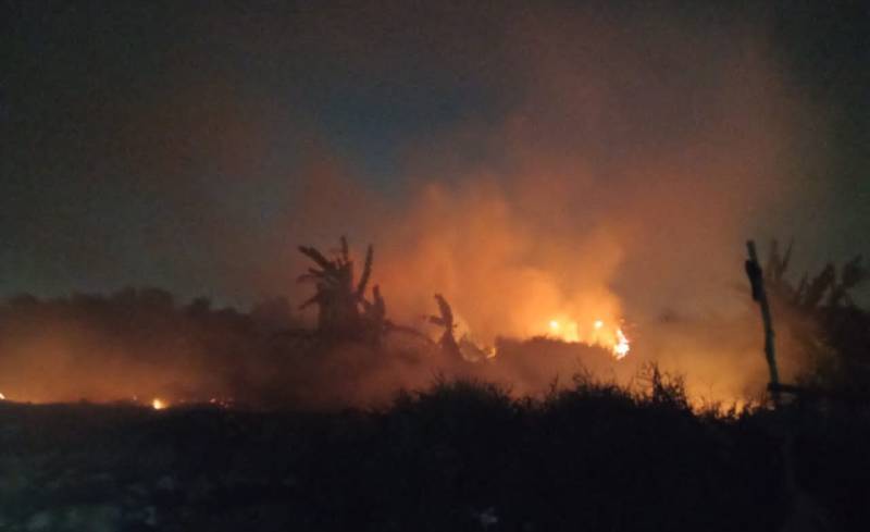 Tempat Sampah Terbakar! Kobaran Api Merambat ke Area Rawa Macan Lindungan