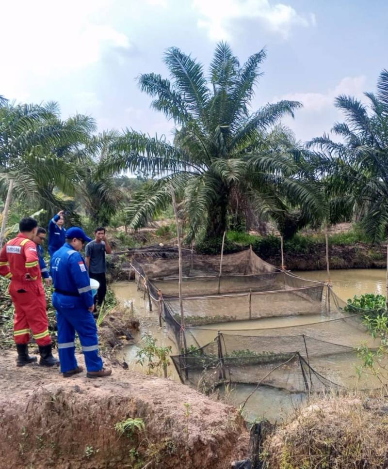 Medco E&P Grissik Ltd [Medco E&P] terus mendukung pemberdayaan ekonomi masyarakat di sekitar wilayah operasi melalui pengembangan budidaya ikan lele di Desa Suka Maju, Kabupaten Musi Banyuasin, sebagai bagian dari Program Local Business Development [LBD] dalam Program Pengembangan Masyarakat [PPM] Pilar Ekonomi.