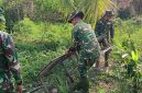 Satgas TNI Manunggal Membangun Desa [TMMD] ke-129 Kodim 0418/Palembang terus mempercepat rehabilitasi Rumah Tidak Layak Huni [RTLH] milik Suarni di RT 20 RW 06, Lorong Selamet, Kelurahan Talang Jambe, Kota Palembang.