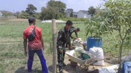 Memasuki hari ke-25 pelaksanaan TMMD, aktivitas pertanian tersebut mulai menunjukkan hasil. Tanaman sawi yang sebelumnya dibudidayakan melalui pemanfaatan lahan warga kini dapat dipanen dan dimanfaatkan.