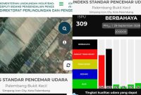 ISPU Palembang Kategori Berbahaya, Sudah di Level Warna Hitam