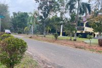 Pangkalan Balai Jadi “Distributor Asap” Sampah Dibakar saat Kabut Asap Pekat. [Foto Desi OY-WI]