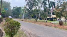 Pangkalan Balai Jadi “Distributor Asap” Sampah Dibakar saat Kabut Asap Pekat. [Foto Desi OY-WI]