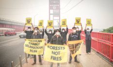 Greenpeace dan Perkumpulan Rawang Gaungkan Protes hingga Bongkar Krisis Karhutla Sumsel