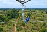 Petugas PLN saat melakukan pemeliharaan kelistrikan pada Saluran Udara Tegangan Tinggi [SUTT] 150 kilovolt [kV] Sarolangun-Muara Rupit untuk meningkatkan keandalan pasokan listrik bagi masyarakat.